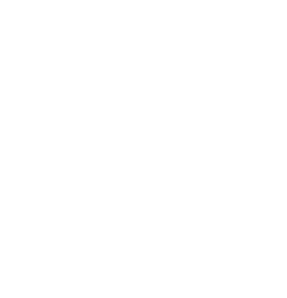 VVS fagmann hvit logo